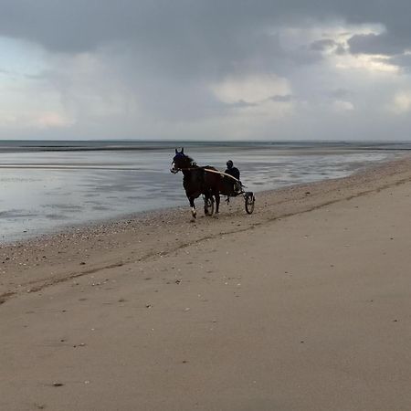 Gites "Plage" Ou "Pieds Dans L'Eau" En Front De Mer A Asnelles , 3Km D'Arromanches, 10Km De Bayeux Екстер'єр фото