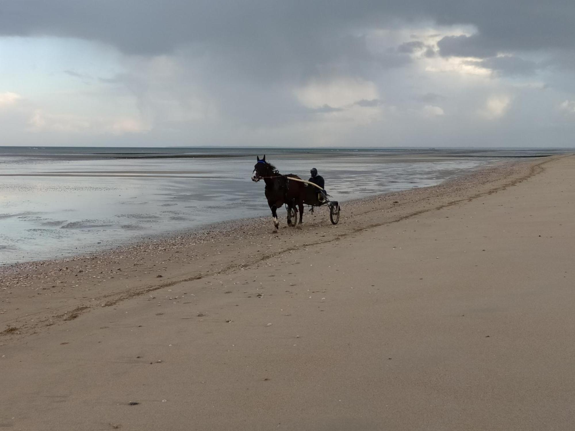 Gites "Plage" Ou "Pieds Dans L'Eau" En Front De Mer A Asnelles , 3Km D'Arromanches, 10Km De Bayeux Екстер'єр фото